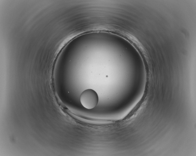X0000115691089200911121302