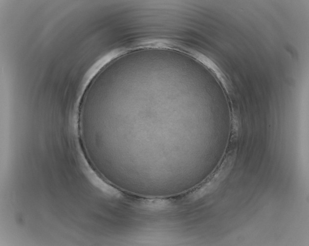 X0000115691090200911121302