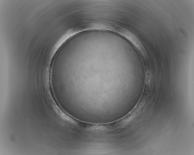 X0000115691094200911121302