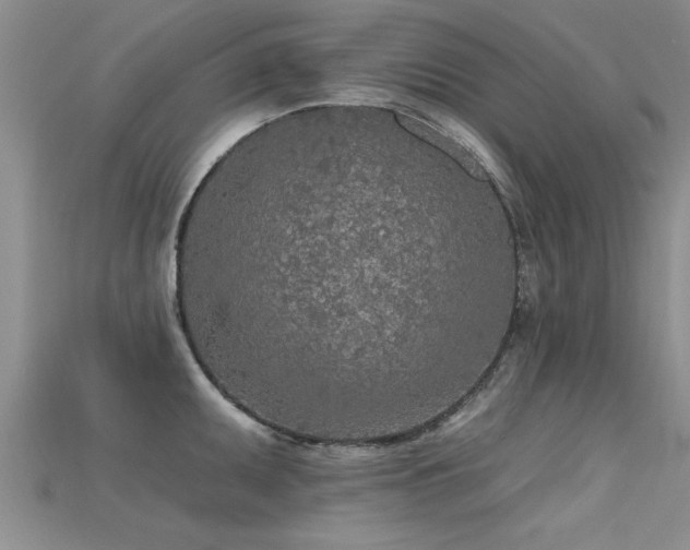 X0000115691095200911121302