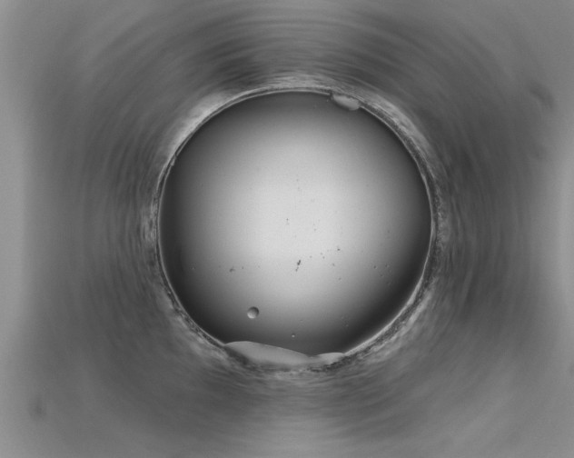 X0000115691097200911121302