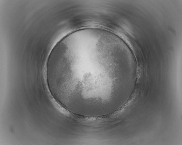 X0000115691098200911121302