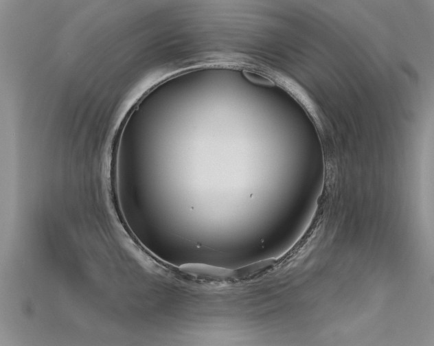 X0000115691099200911121302