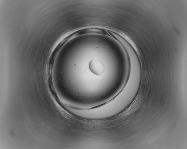 X0000115691101200911121302