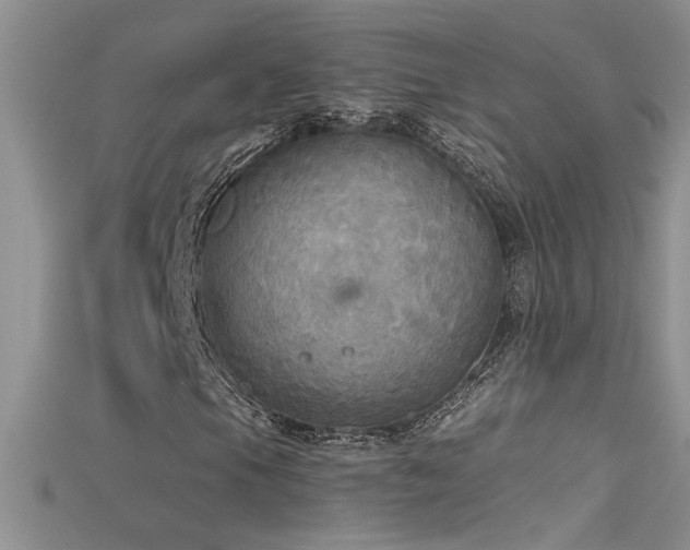 X0000115691105200911121302