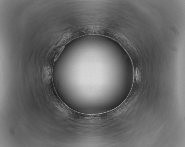 X0000115691107200911121302