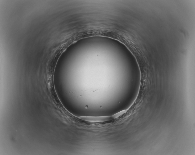 X0000115691109200911121302