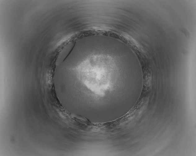 X0000115691110200911121302