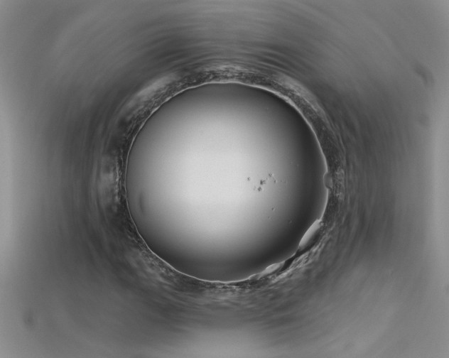 X0000115691111200911121302