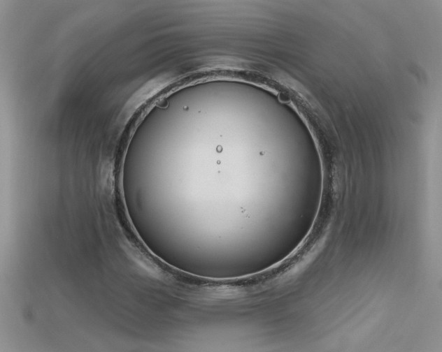 X0000115691113200911121302