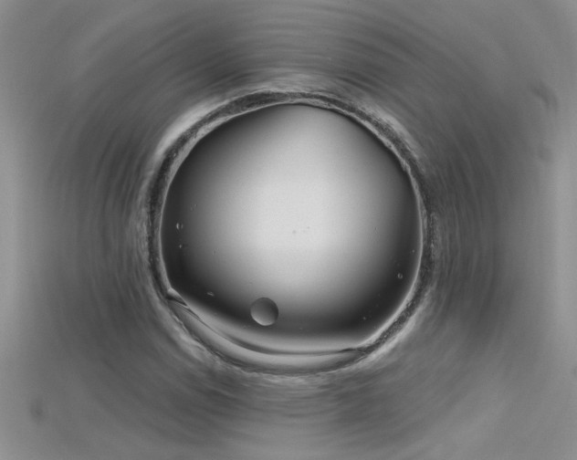 X0000115691114200911121302
