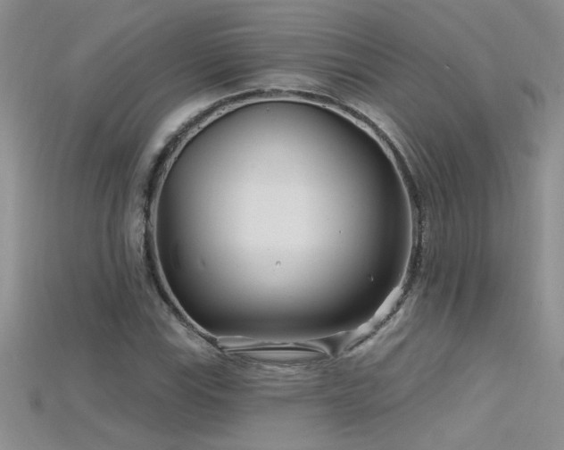 X0000115691115200911121302
