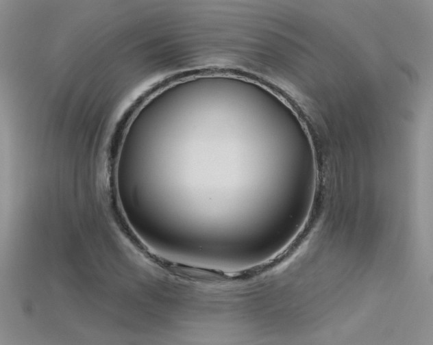 X0000115691118200911121302