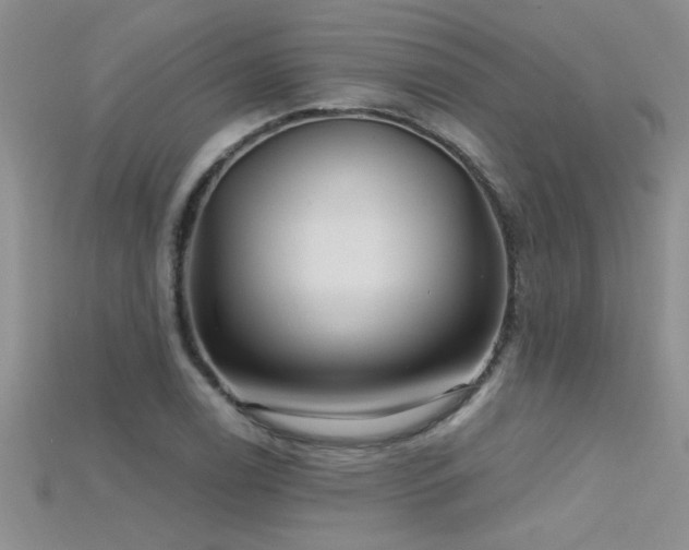 X0000115691122200911121302