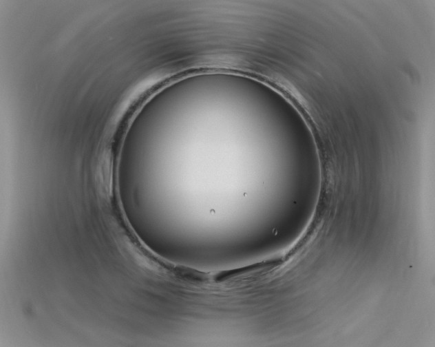 X0000115691123200911121302