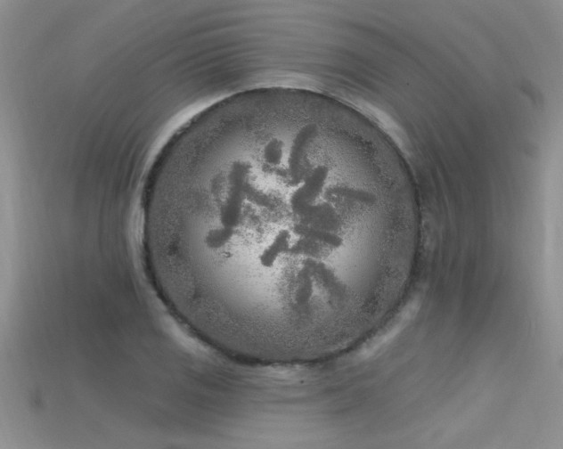 X0000115691125200911121302