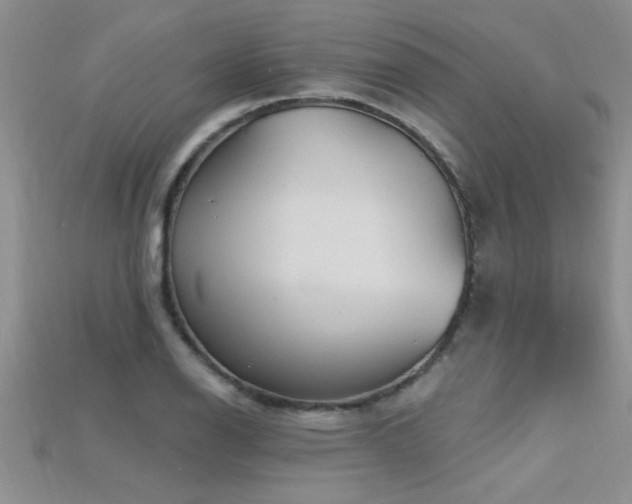 X0000115691126200911121302