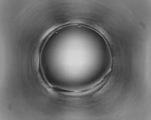 X0000115691127200911121302