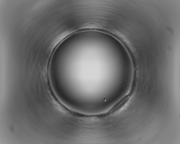 X0000115691129200911121302