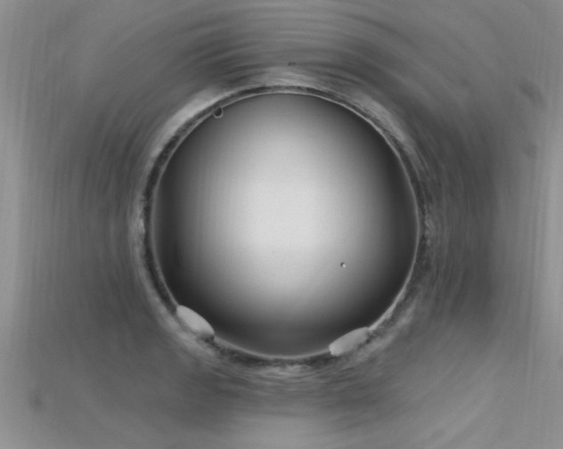 X0000115691133200911121302