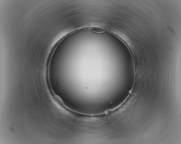 X0000115691135200911121302