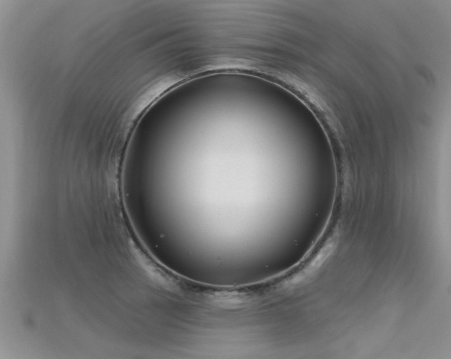 X0000115691137200911121302
