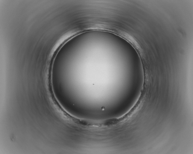 X0000115691138200911121302