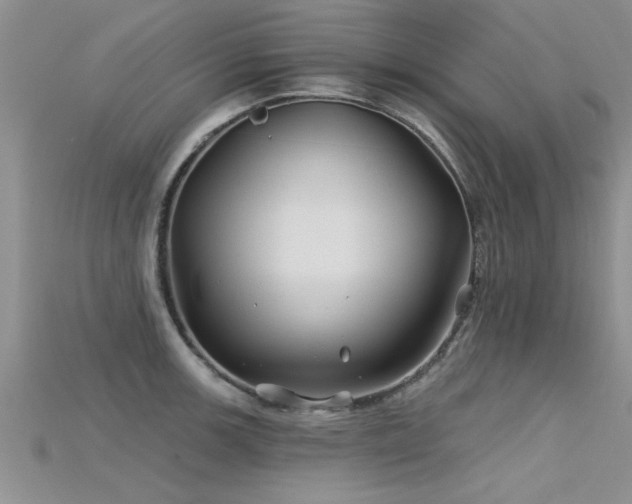 X0000115691139200911121302