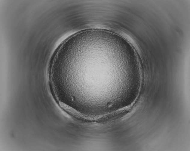 X0000115691141200911121302