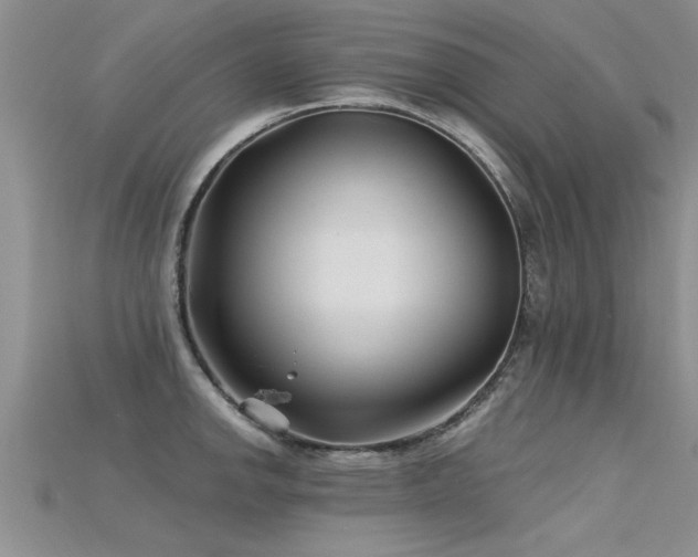 X0000115691142200911121302