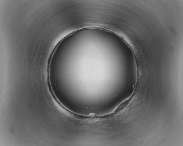 X0000115691143200911121302