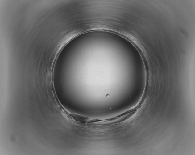 X0000115691145200911121302