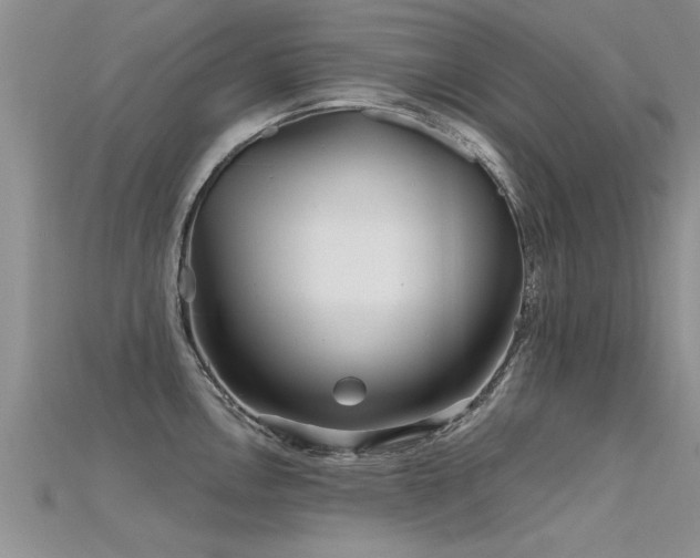 X0000115691146200911121302