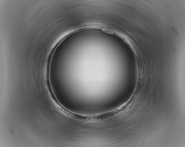 X0000115691147200911121302