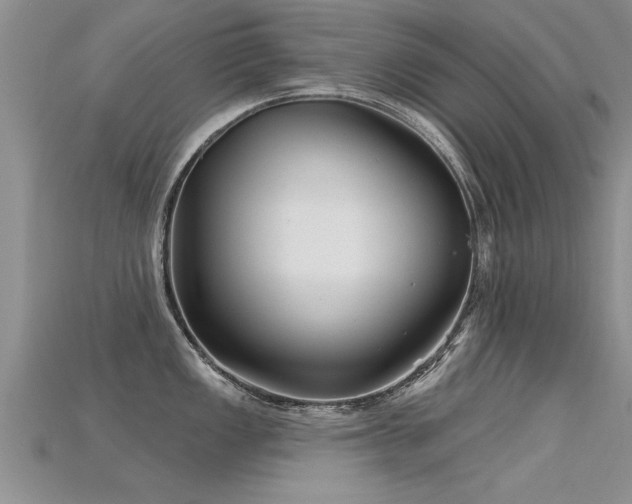 X0000115691149200911121302