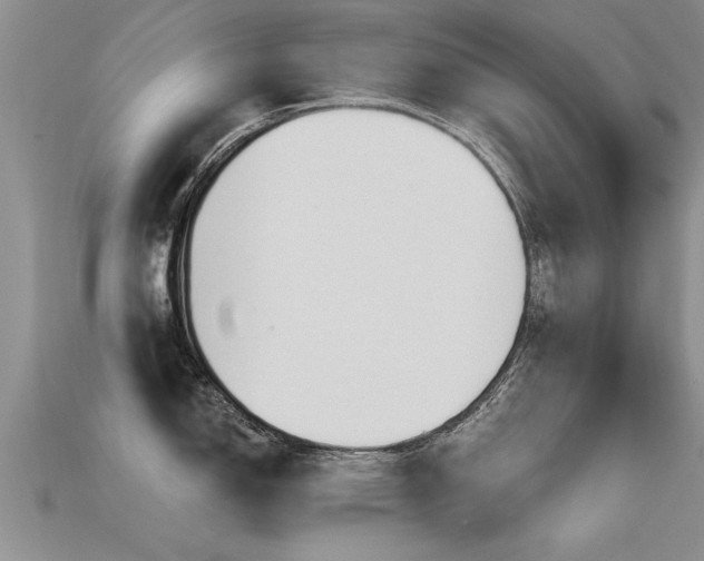 X0000115691150200911121302