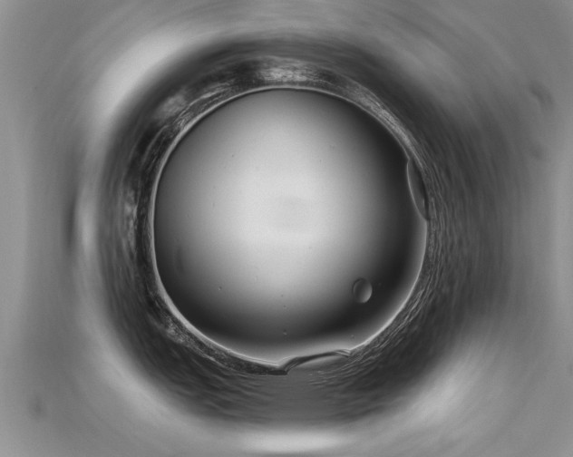 X0000115691151200911121302