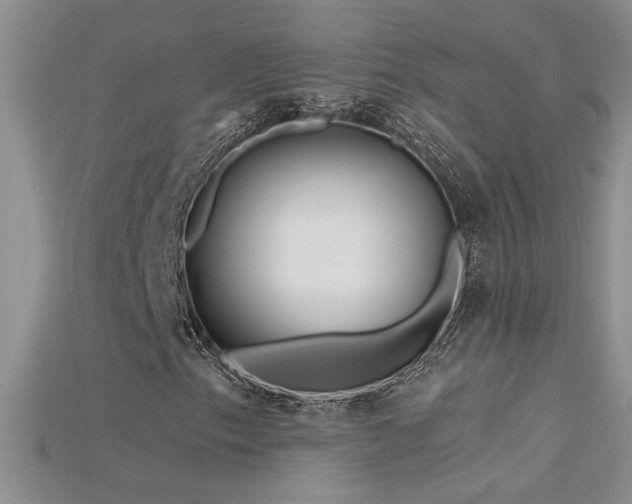 X0000115691153200911121302