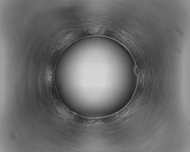 X0000115691154200911121302
