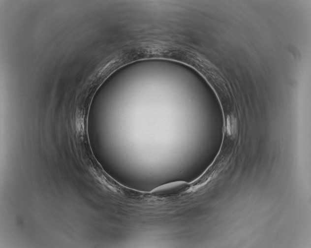 X0000115691155200911121302