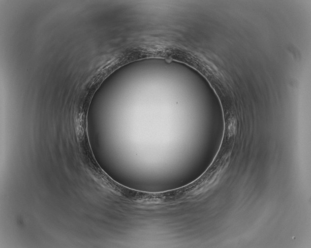 X0000115691156200911121302