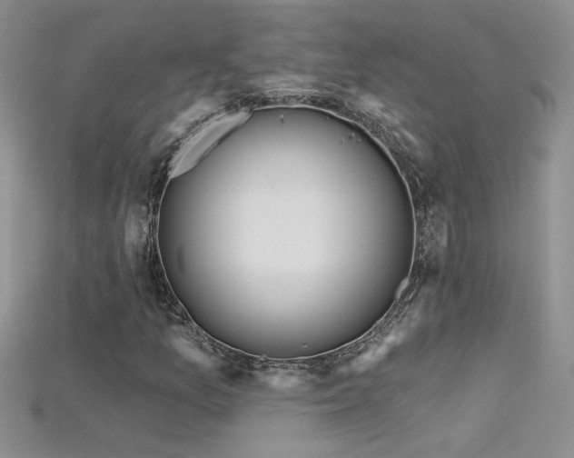 X0000115691157200911121302