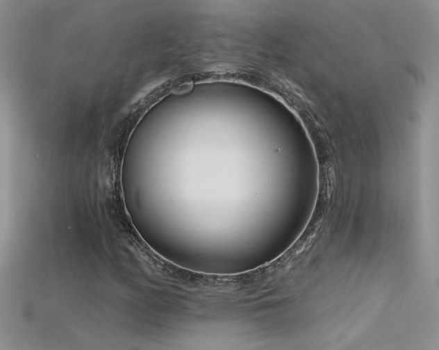 X0000115691158200911121302