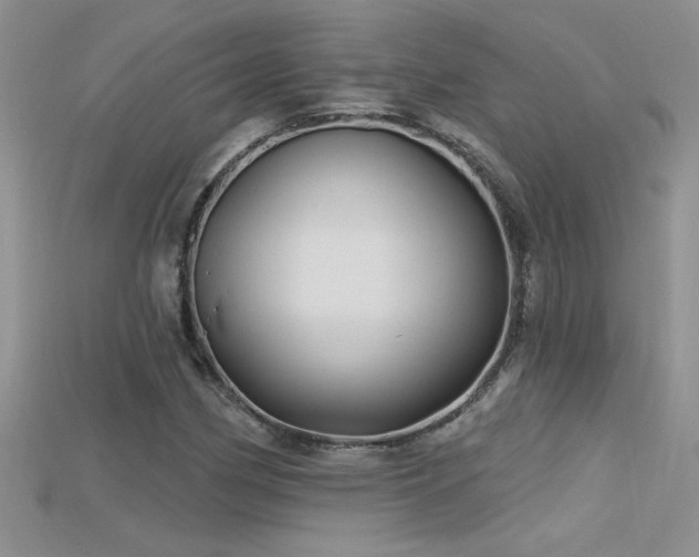 X0000115691162200911121302