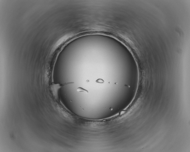 X0000115691163200911121302