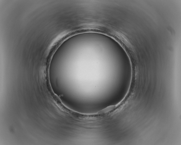 X0000115691164200911121302