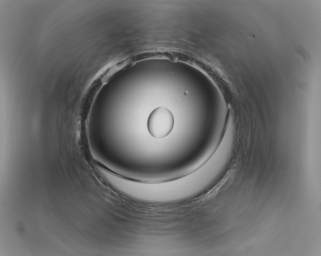 X0000115691165200911121302