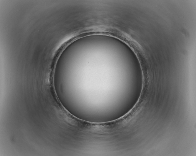 X0000115691166200911121301