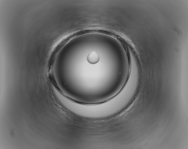 X0000115691167200911121301