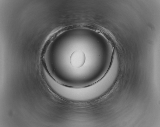 X0000115691168200911121301